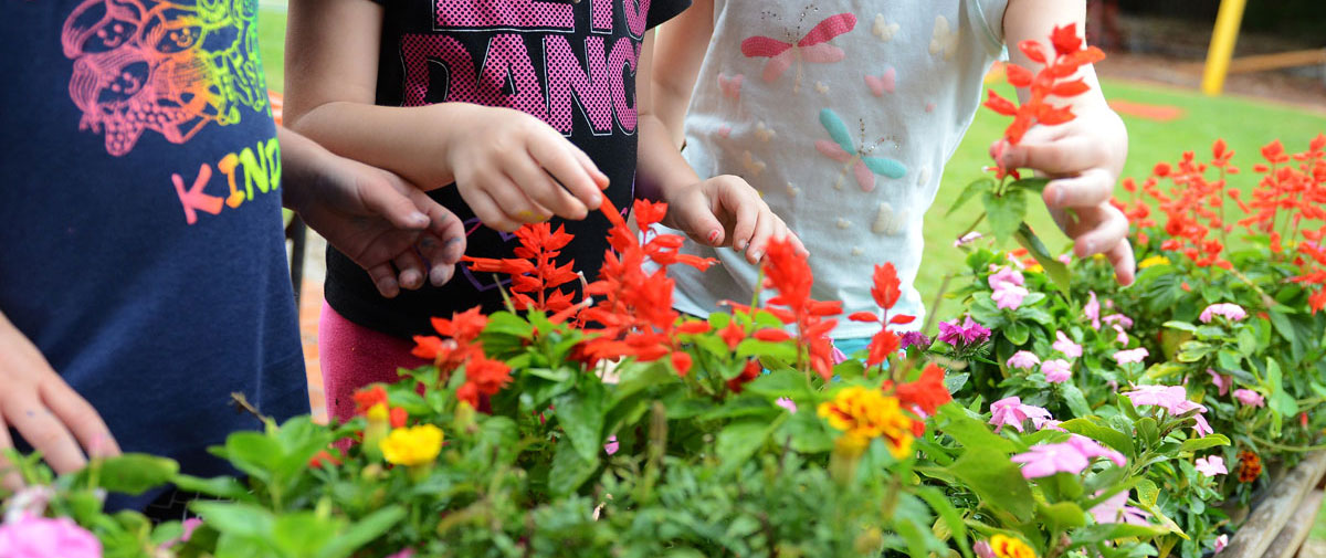 gardens